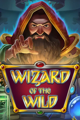Wizard of the Wild играть онлайн  в демо игру в Crystal Casino Online